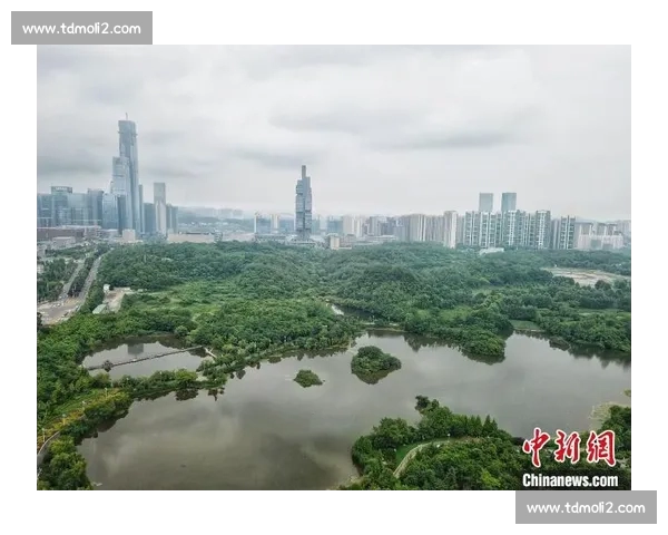 以篮球平台为核心打造连接赛事数据社区与青训的数字生态发展新格局 以篮球平台为核心打造连接赛事数据社区与青训的数字生态发展新格局