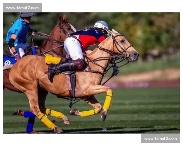 聚焦篮球直播赛场精彩瞬间实时解析与观赛指南全景数据互动体验 聚焦篮球直播赛场精彩瞬间实时解析与观赛指南全景数据互动体验